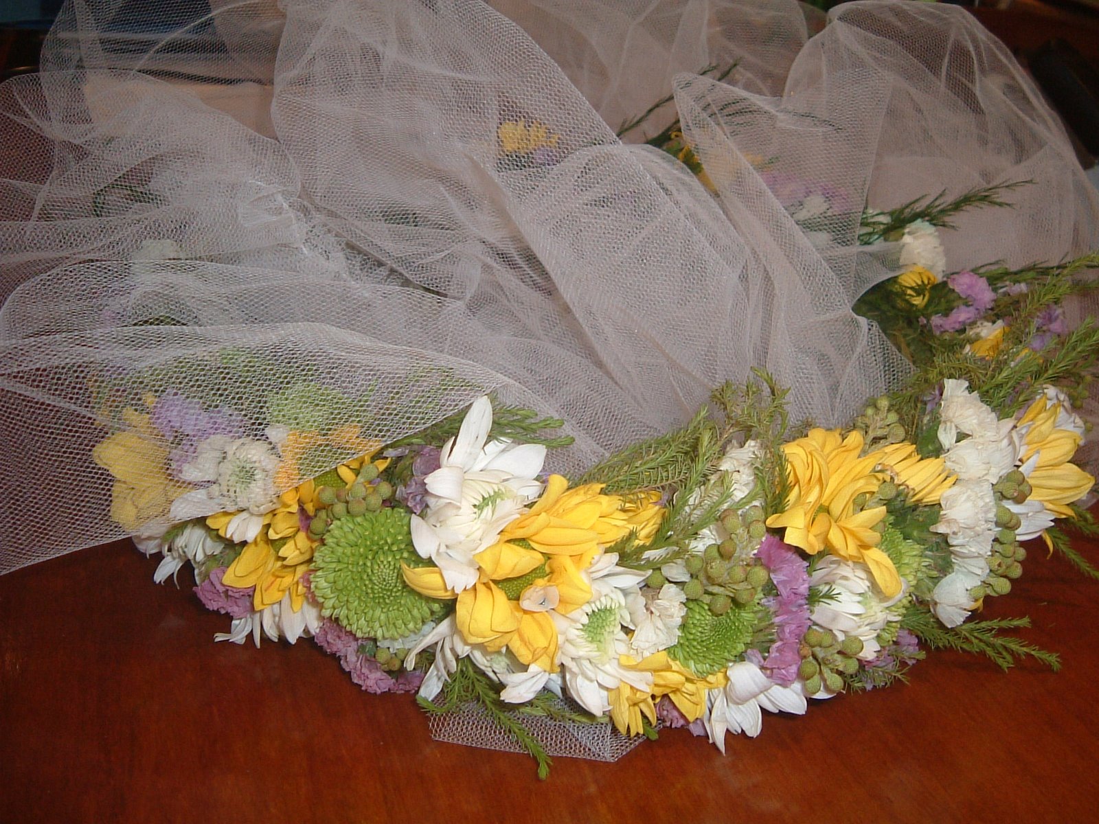 [DSCF0031.JPG]