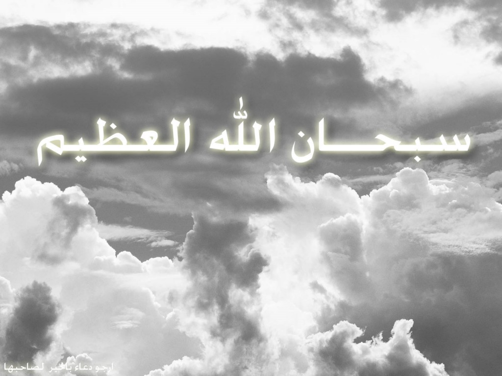 سمكة براس وجسدين سبحان الله‏ %D8%B3%D8%A8%D8%AD%D8%A7%D9%86+%D8%A7%D9%84%D9%84%D9%87+%D8%A7%D9%84%D8%B9%D8%B8%D9%8A%D9%85+%5B1280x768%5D