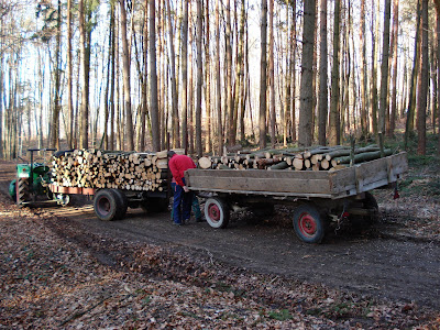 Bauen Mit Den Brachats Holz Machen Und Da Steht Ein Bagger