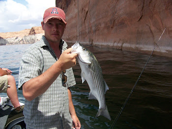 Lake Powell Striper