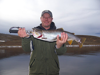 5 lb Strawberry Cutthroat