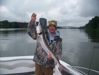 Willamette River, Oregon Sturgeon