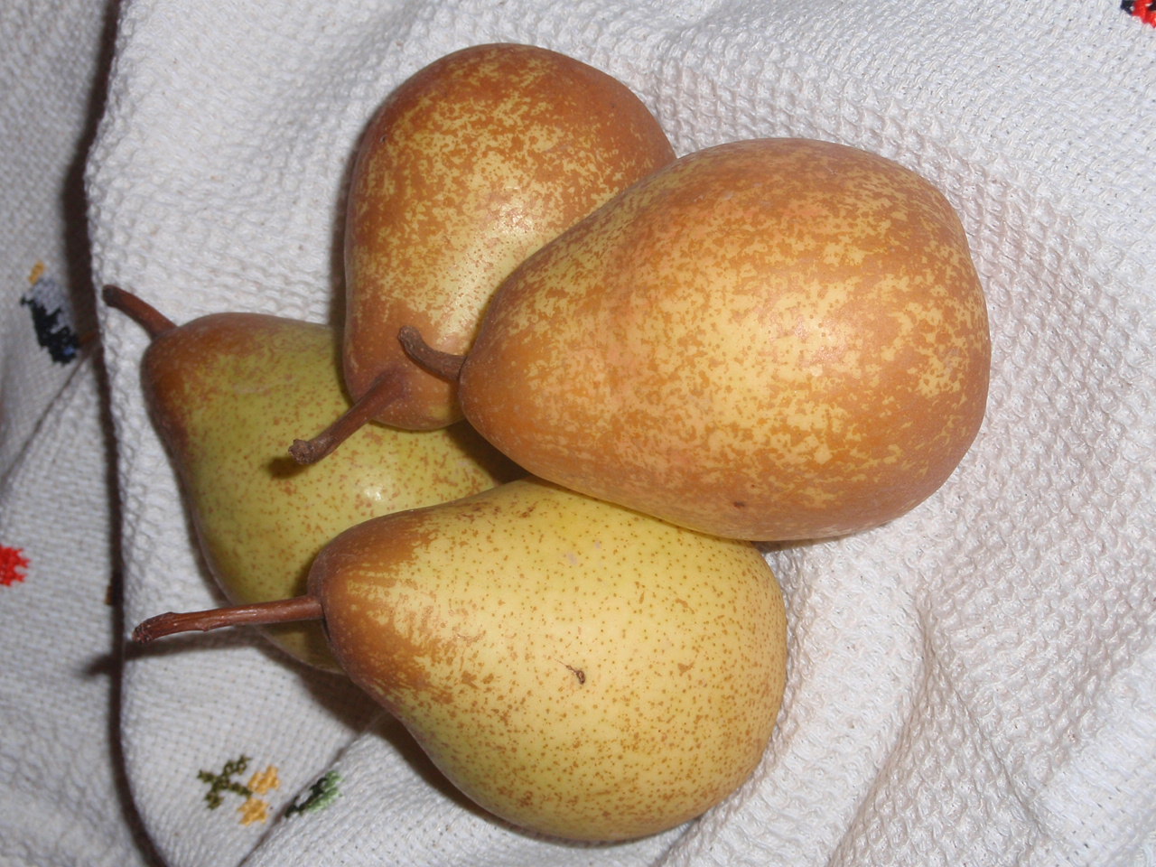 [PA110002.JPG]