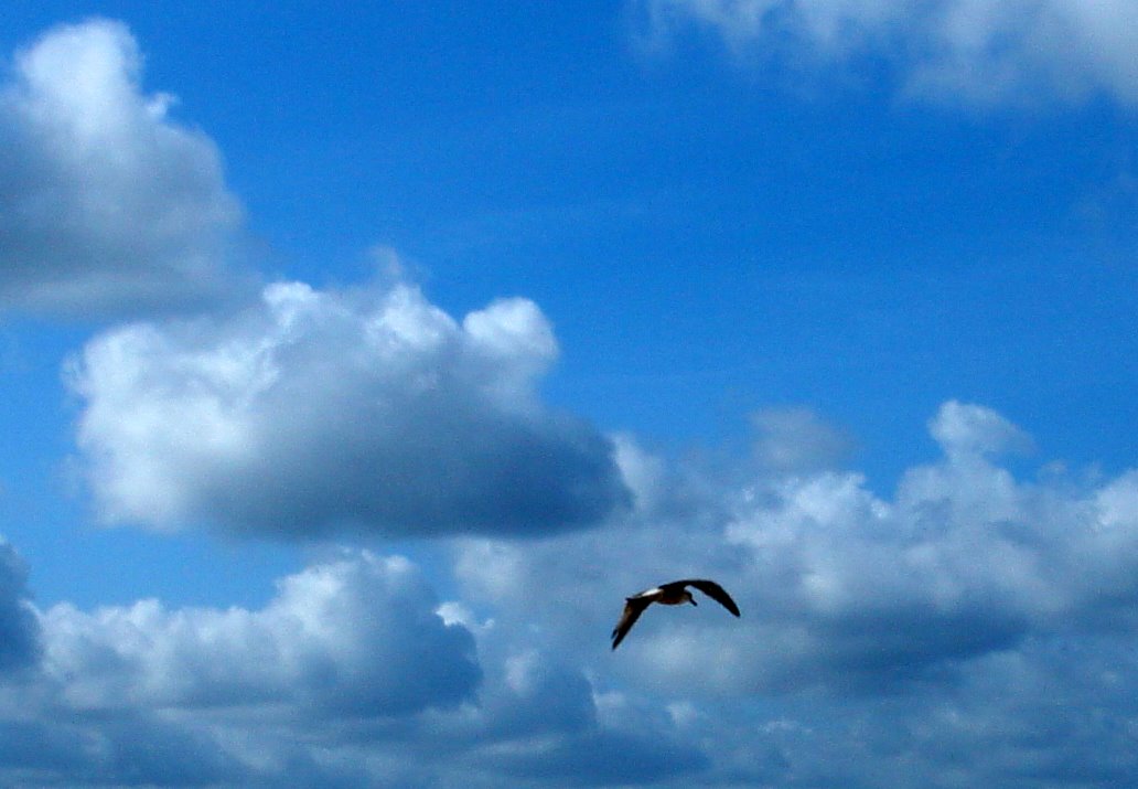 [DSC00410.JPG]