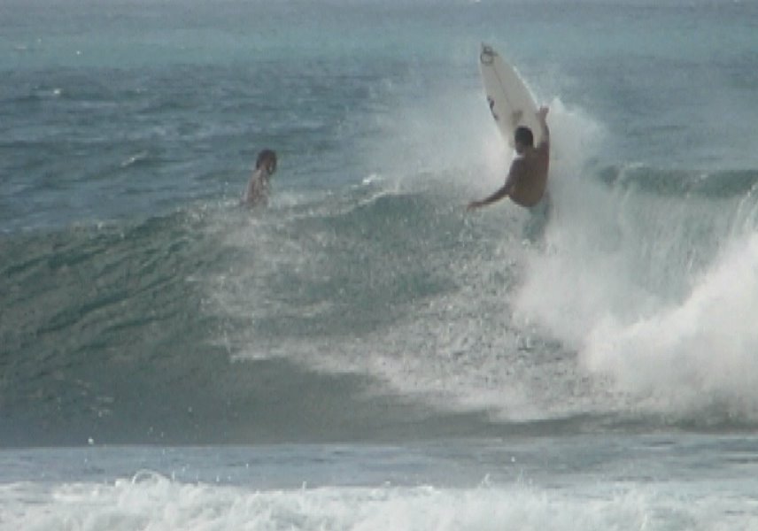 [V-Land_taylor_knox_bonzer.jpg]