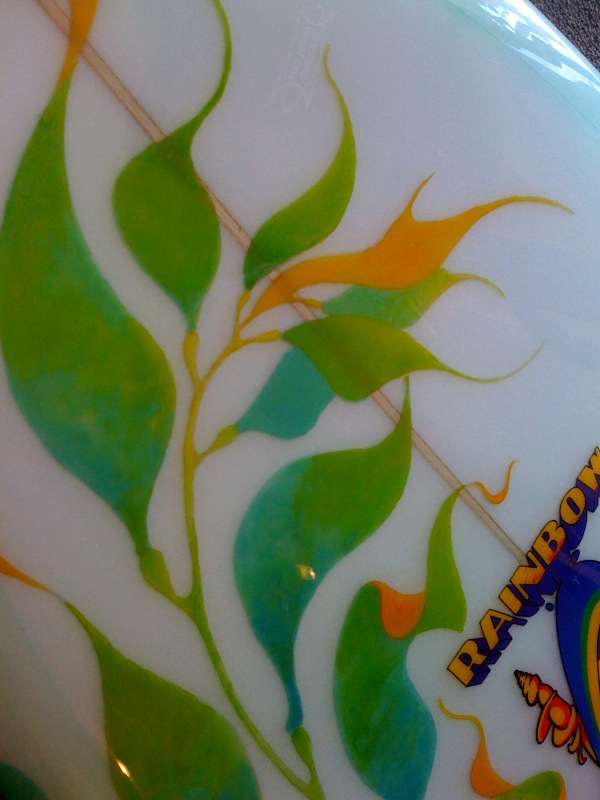 [KELP_1.jpg]