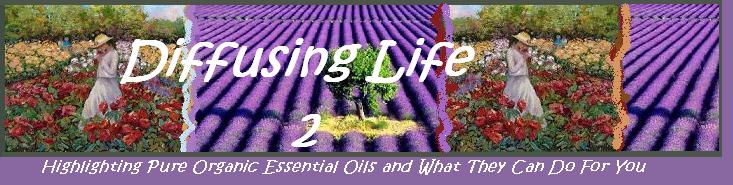 <center>Diffusing Life 2</center>