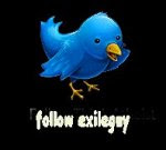 follow me on twitter