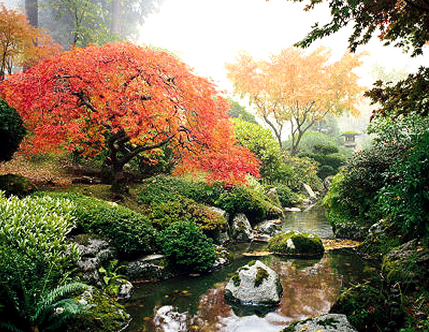 garden wallpaper. Japanese gardens wallpaper 1