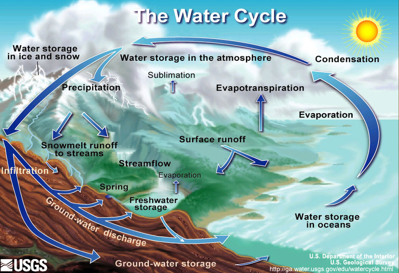 condensation water cycle. The Water Cycle: color graphic