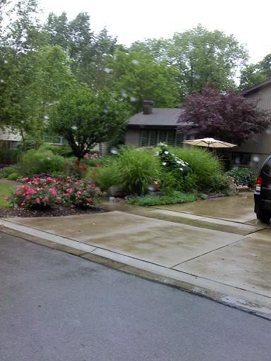 lady gaga front yard landscaping