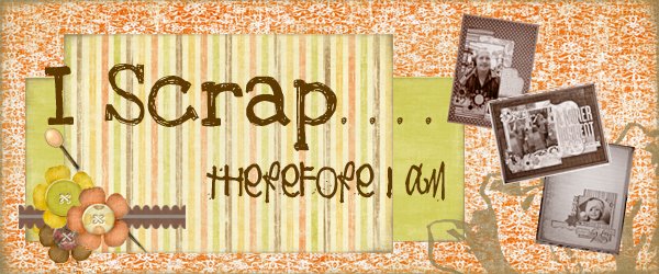 I Scrap, Therefore I am
