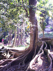 Hindu Temple Tree