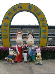 Seoul Race Track