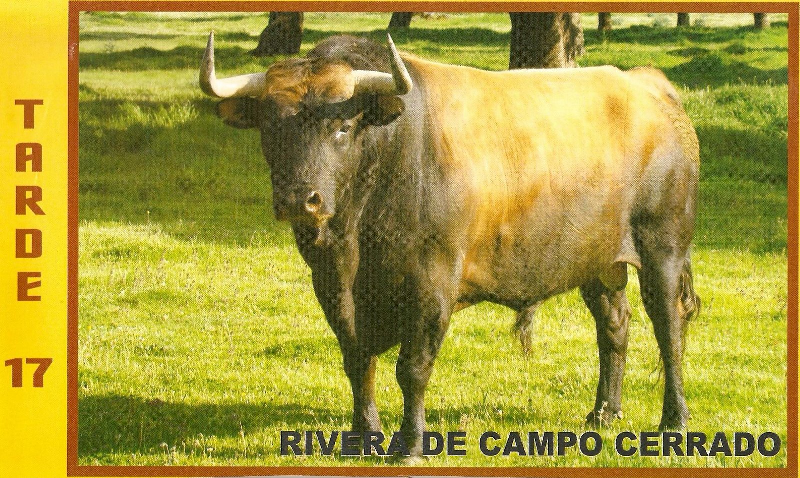 [tarde17rivera2.jpg]