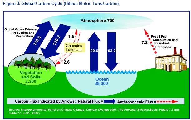 [carbon_cycle.jpg]