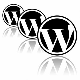 Wordpress Themes & Design Process