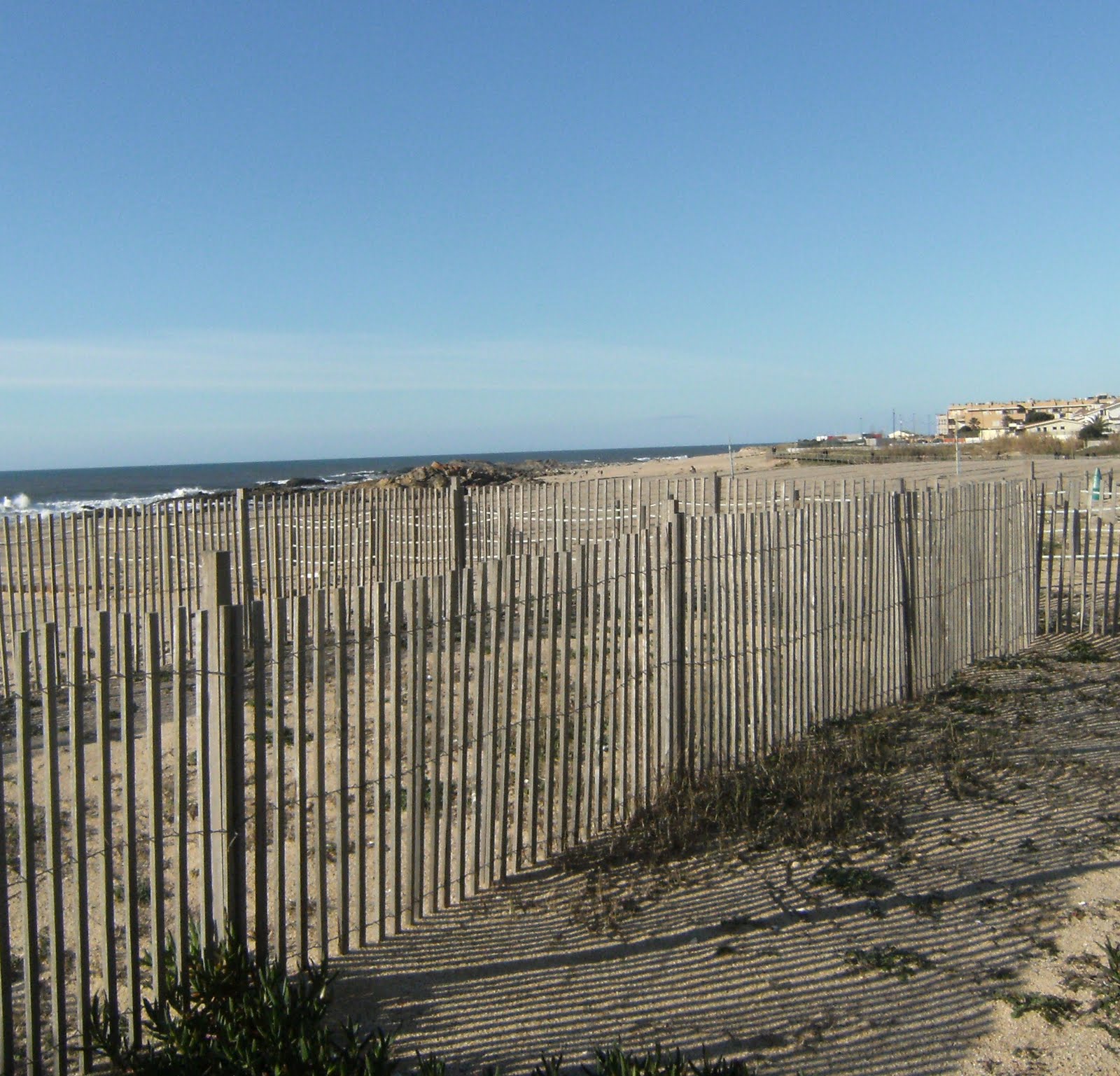 [JANEIRO-2010+006.JPG]