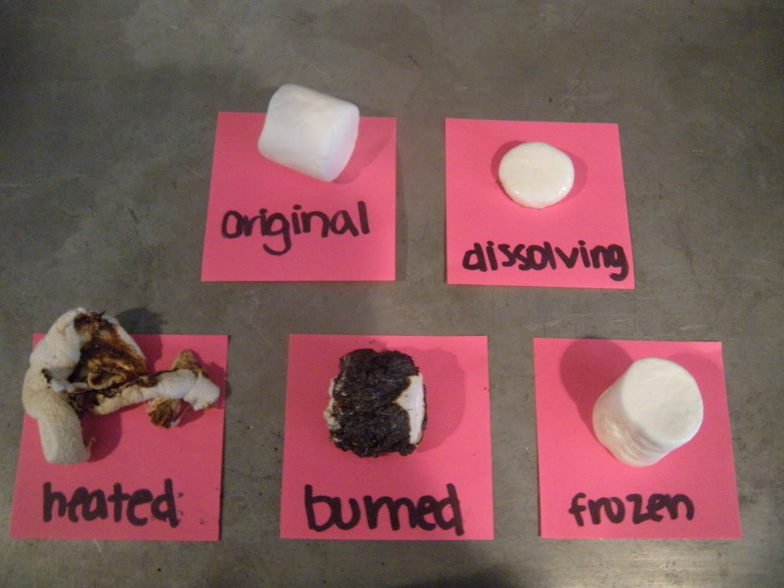 Blog B2 Physical and Chemical Properties of Marshmallows