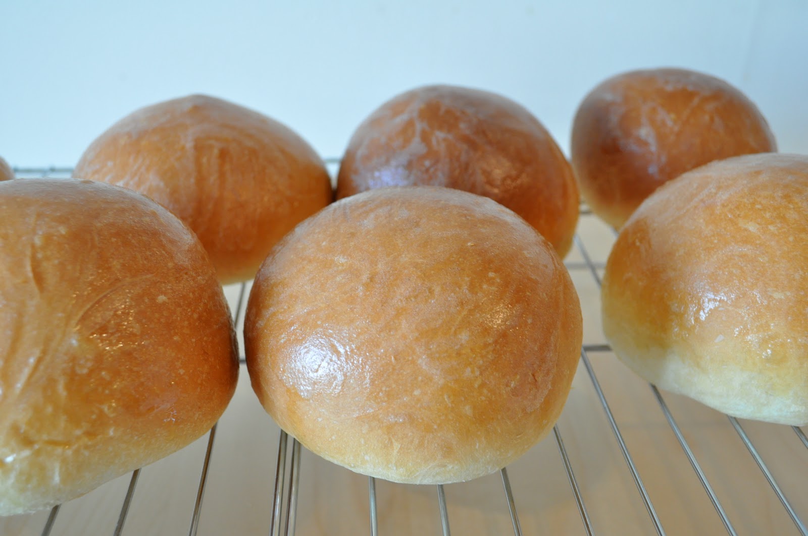 My Tiny Oven Bread Maker Buns