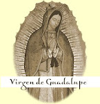 Proyecto: Capellanía Nuestra Señora de Guadalupe.