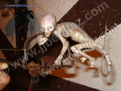 Real Alien Baby