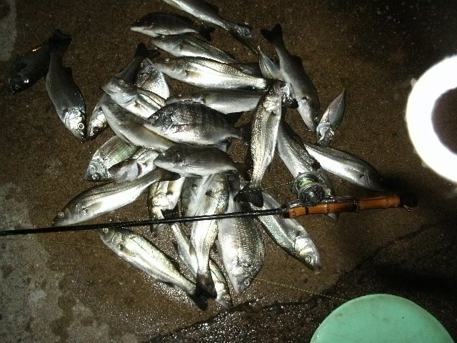 海釣り初心者のための釣果３倍アップ釣り講座 落とし込み釣りのリール