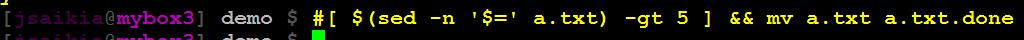 [bash-shell-tip.JPG]
