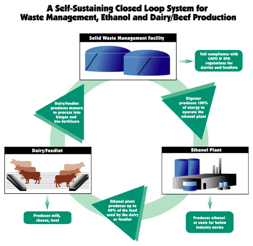 [E3_Biofuels_Process.jpg]