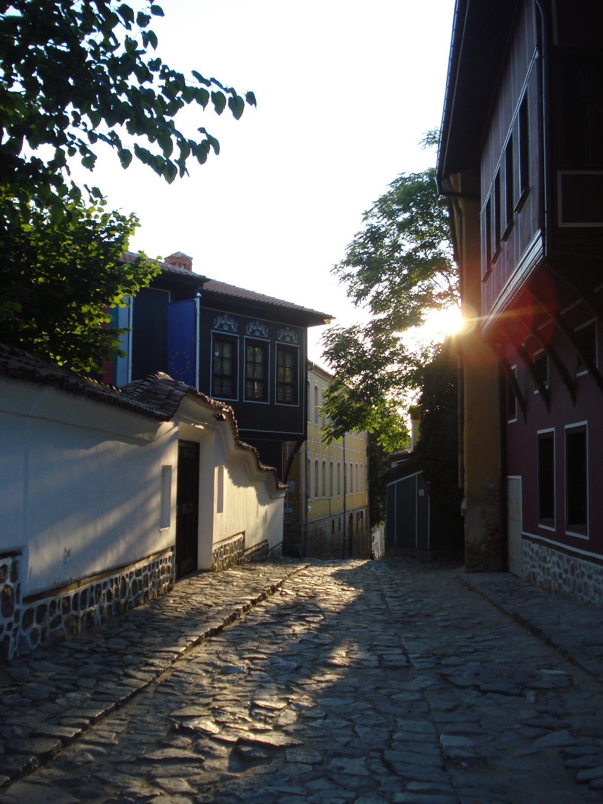 [DSC00584.JPG]