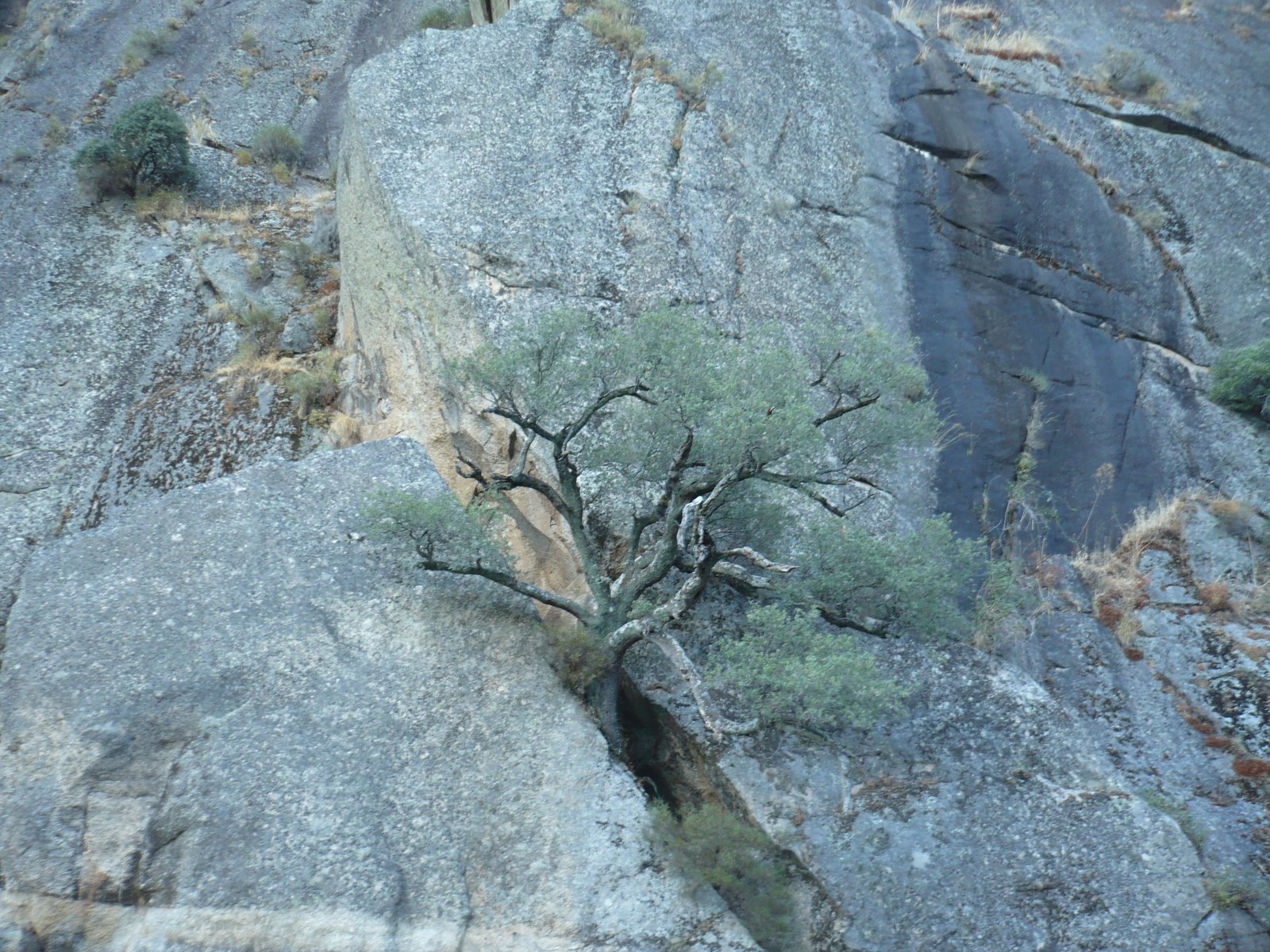 [P1020341.JPG]