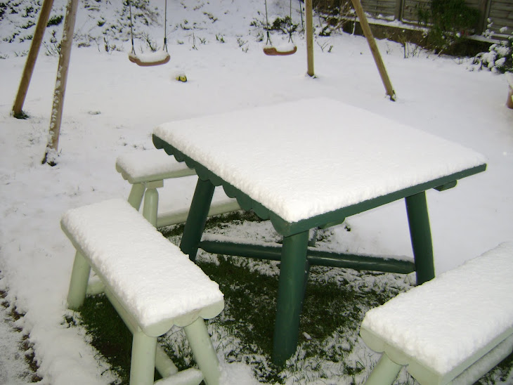 Naturel ou lasuré, le cèdre blanc québécois résiste à tous les temps, hiver 2009