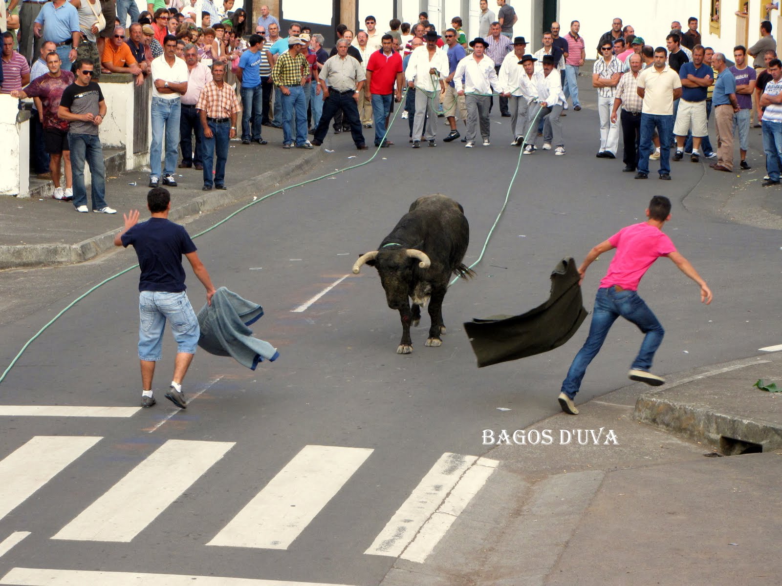 [TOURADAS_CORDA_TERCEIRA.JPG]