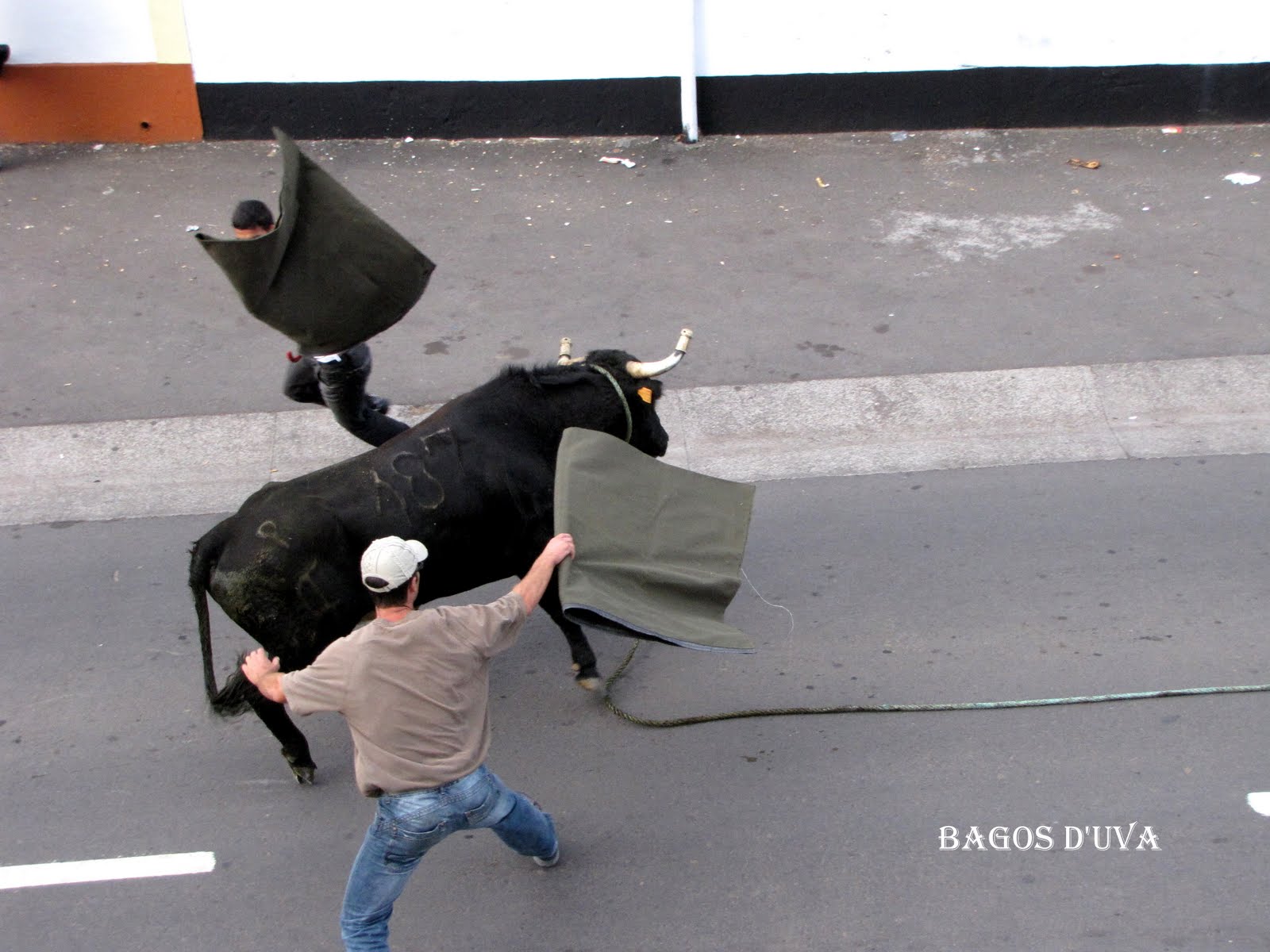 [TOURADAS_CORDA_+(2).JPG]