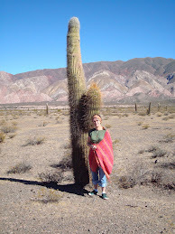 Parque Nacional Los Cardones