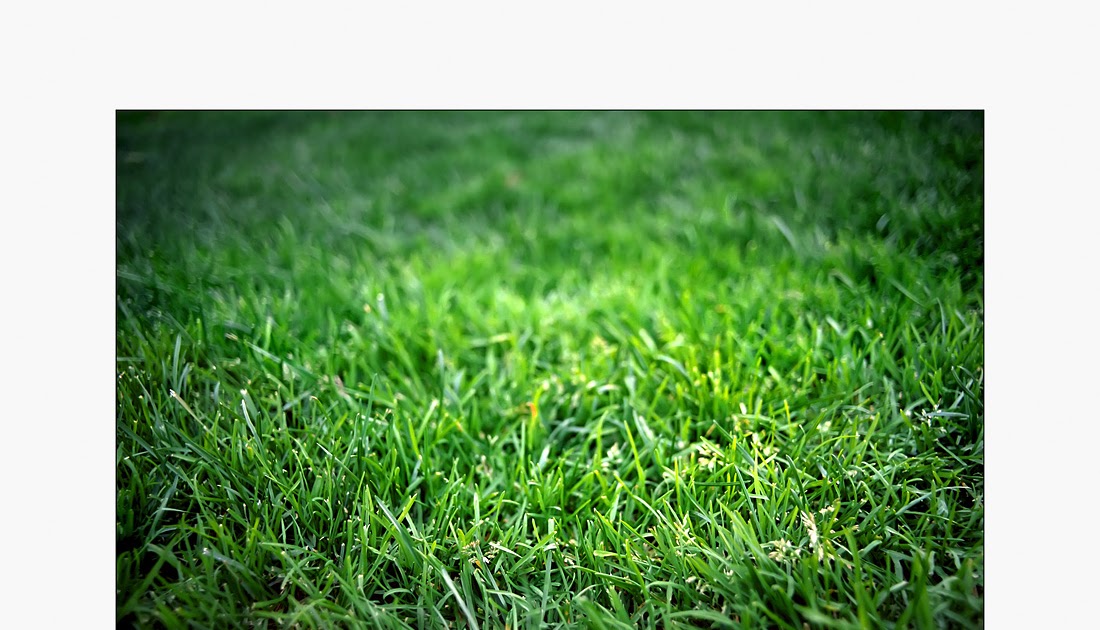 Wow !! Smell the new grass cutting. Help relieve stress And restoration