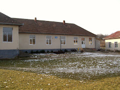 Scoala gimnaziala Dobrin