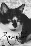 Ravenstar of BriarClan