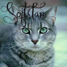 Softstar of SongClan