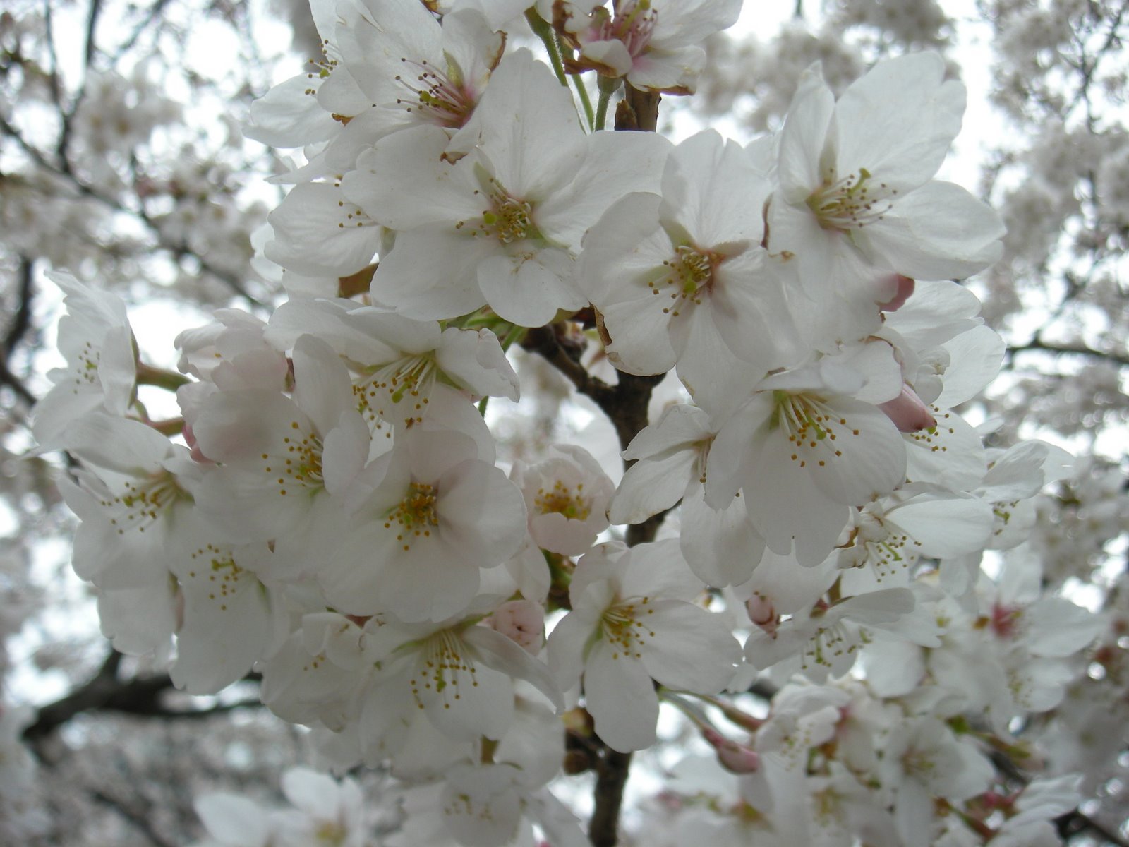 [DSCN1313.JPG]