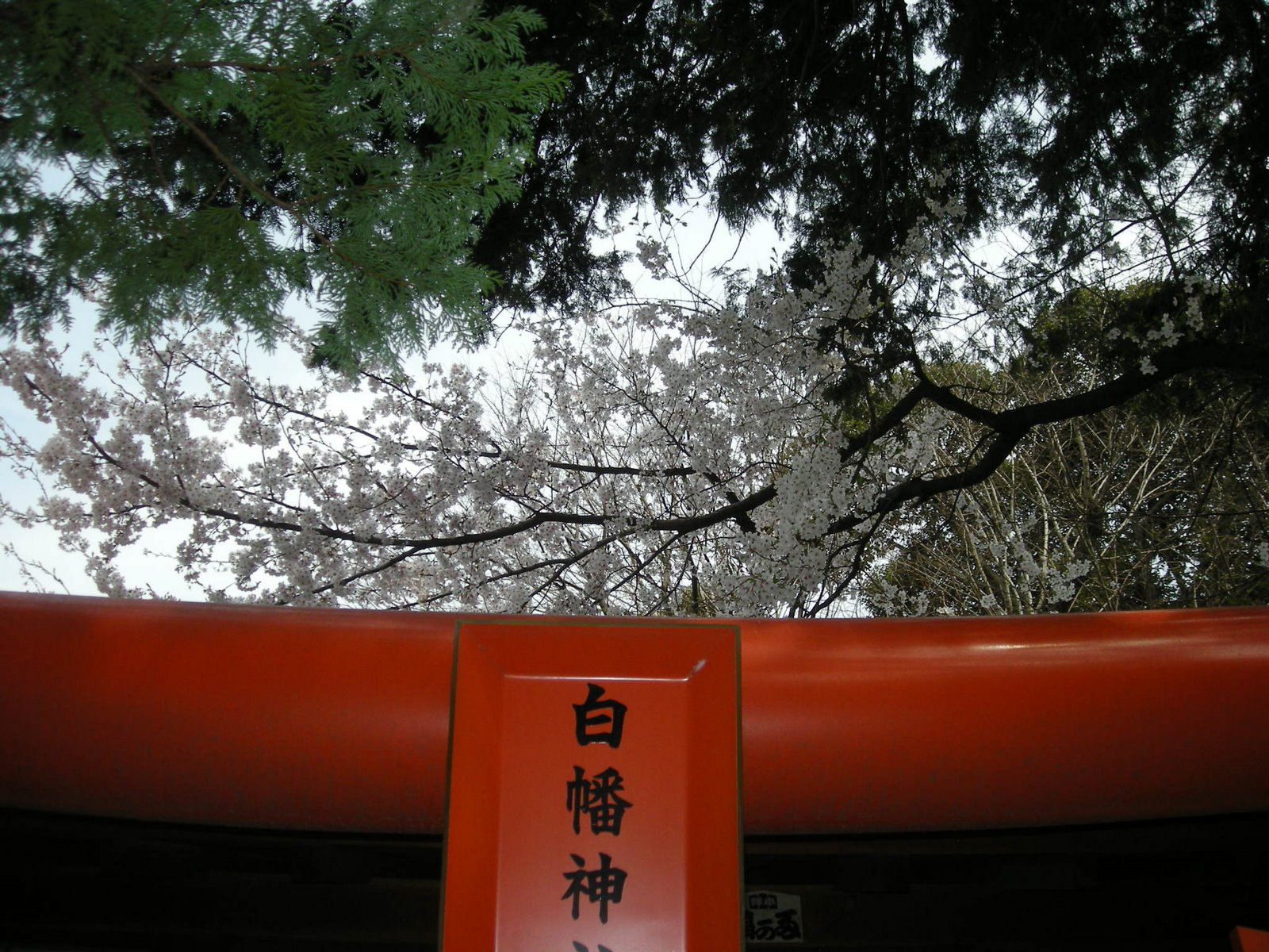 [DSCN1353.JPG]