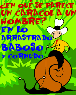 solo para mujeres! chistes feministas xD