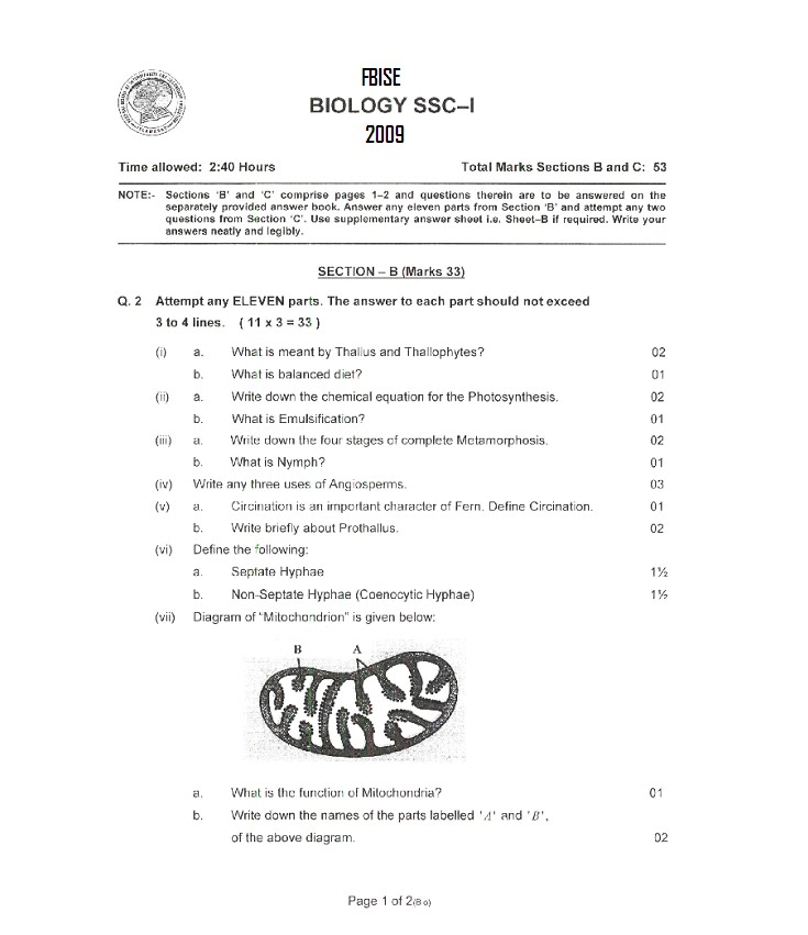 Anti hemp essays 05 picture