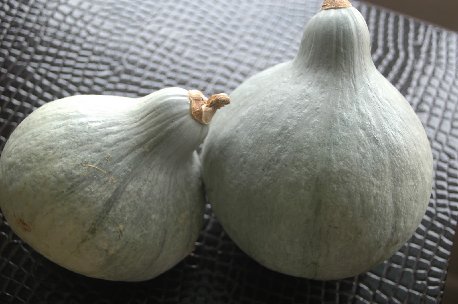 Cibo e Famiglia (Food and Family) Blue Hubbard Squash Casserole