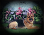 Jake 6-8-98 / 5-3-09