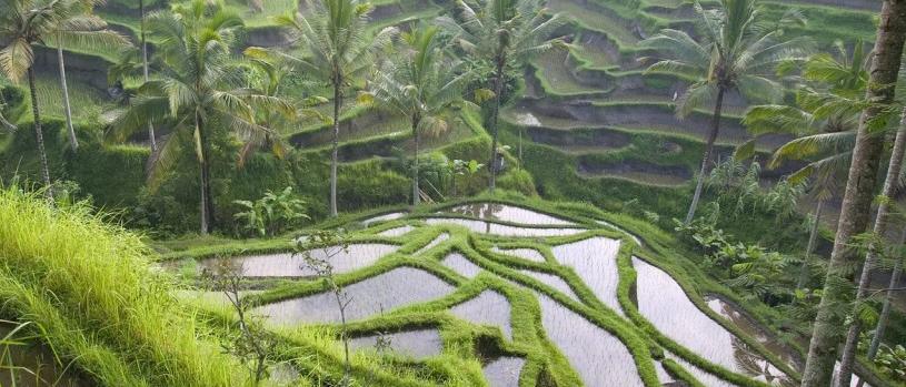 Ubud, Bali