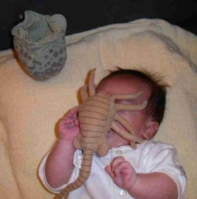 Cool Stuffed Animals