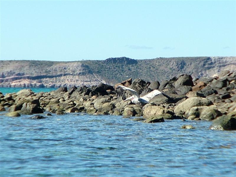 [DSCF3487+(Medium).JPG]