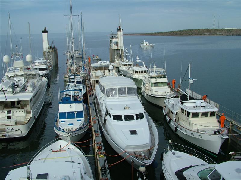 [DSCF3531+(Medium).JPG]