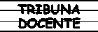 Tribuna Docente San Lorenzo
